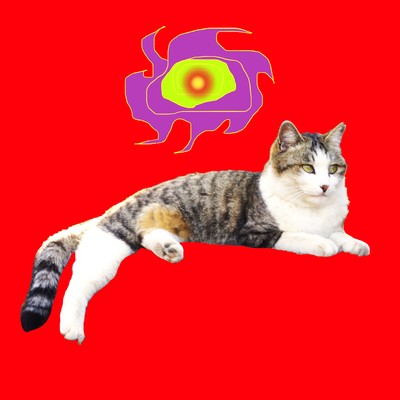 I WANT ALL OF YOU samba Front Cover