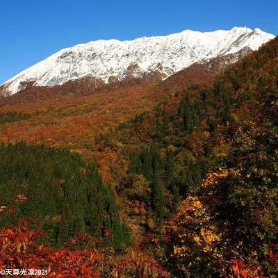 君の美しさは筆舌に尽くし難い REMAKE REMODEL Sのジャケット写真
