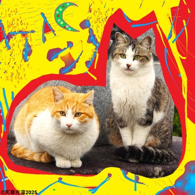 愛唄ギターAのジャケット写真