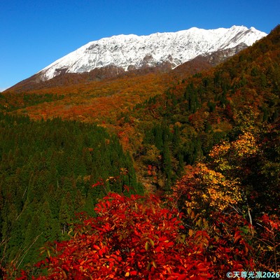 YOUR BEAUTY IS BEYOND DESCRIPTION RRL Front Cover