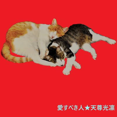 愛すべき人のジャケット写真