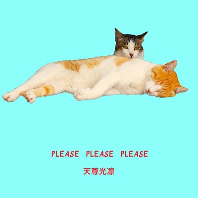 PLEASE PLEASE PLEASE SYMPHONY Front Cover