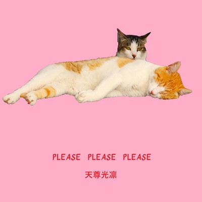PLEASE PLEASE PLEASE BRASS Front Cover