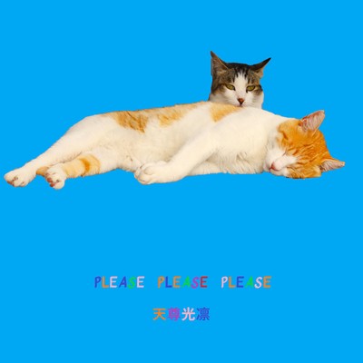 PLEASE PLEASE PLEASE BRASS SYMPHONY Front Cover