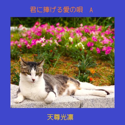 A LOVE SONG DEDICATED TO YOU Front Cover