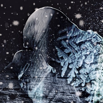 Snow flake Front Cover
