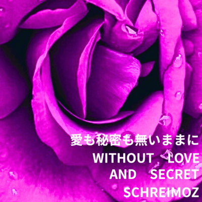 without love and secret Front Cover
