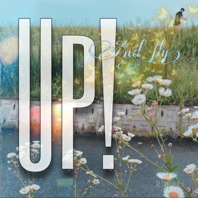 Up and Fly Front Cover