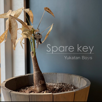 Spare Key Front Cover