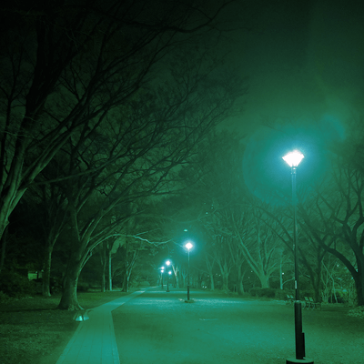 夜の公園のジャケット写真