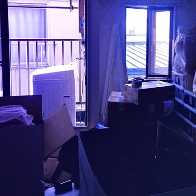 惰性のジャケット写真