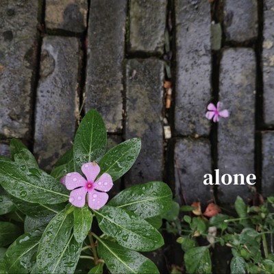 Alone Front Cover