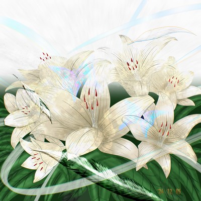 LILIUM Front Cover