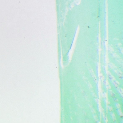 Mood Front Cover