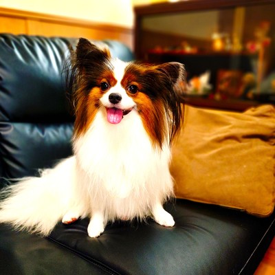 水の流れ (feat. AKIKO)のジャケット写真