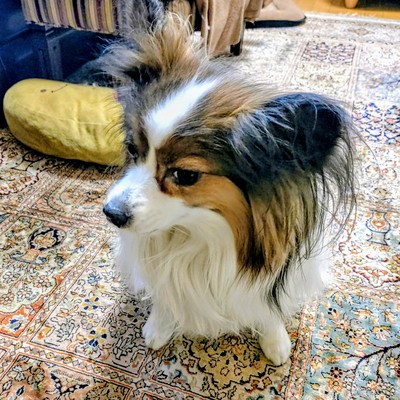 氷の国 (feat. AKIKO)のジャケット写真