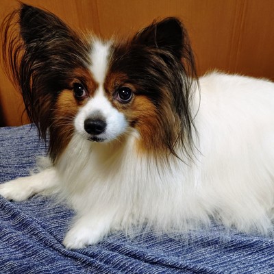 Conclusion after thought (feat. AKIKO) Front Cover