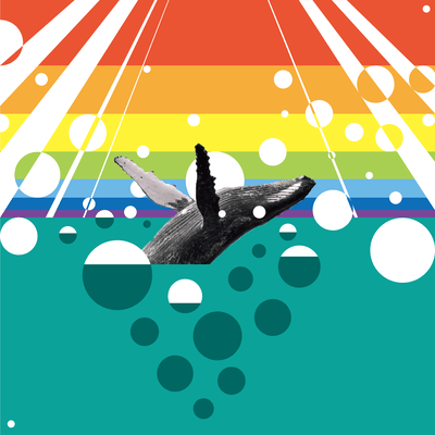 FREEDOM Front Cover