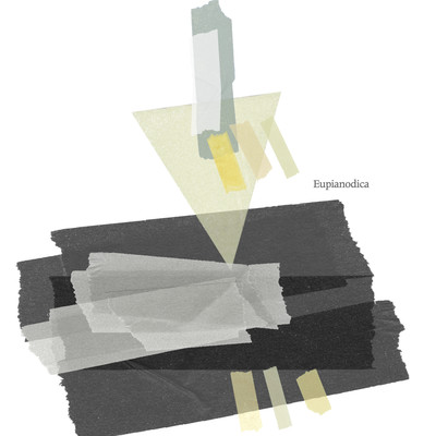 Eupianodica Front Cover