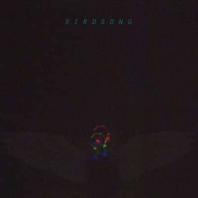 Birdsong (Rework 2019) Front Cover