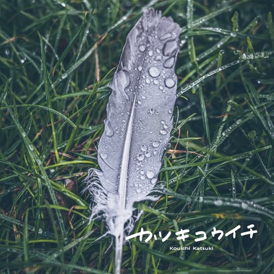 fake feather Front Cover