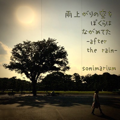 after the rain Front Cover