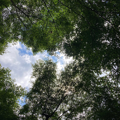 PRESENT -M.Y-のジャケット写真