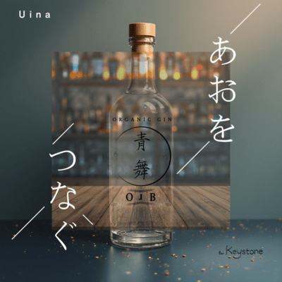 Connecting Blue Front Cover