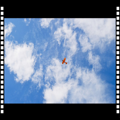 ALSTROMERIAのジャケット写真