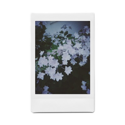 6221のジャケット写真