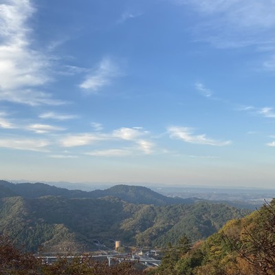 Without Youのジャケット写真