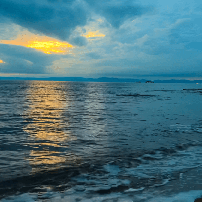 蒼天の下のジャケット写真