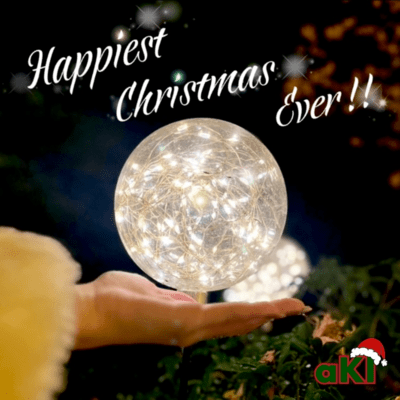Happiest Christmas Ever !! Front Cover