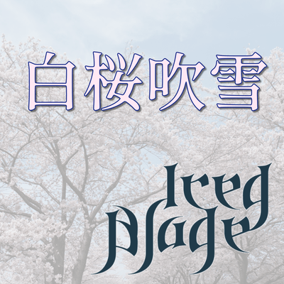 白桜吹雪のジャケット写真