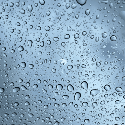 serotonin Front Cover