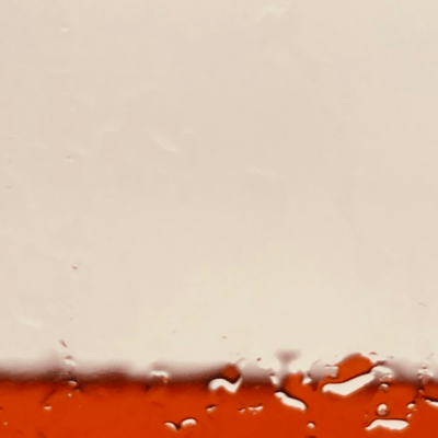 The dream of sheep bread Front Cover