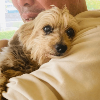 黒いボタンが3つのジャケット写真