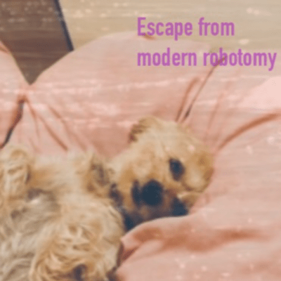 Escape from modern robotomy Front Cover
