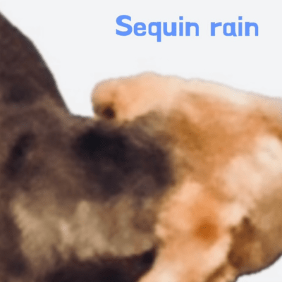 Sequin rain Front Cover