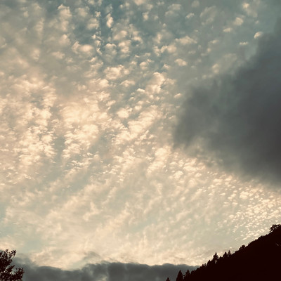 こたつでテクノのジャケット写真