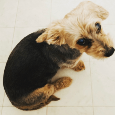 Another streetのジャケット写真