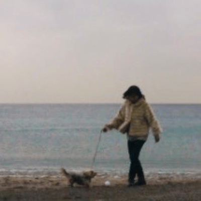 Goodbye, puru-chan, come again (2026 Remaster) Front Cover