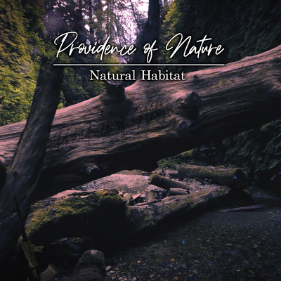 Providence of Natureのジャケット写真