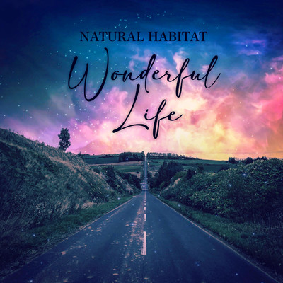 Wonderful Life Front Cover