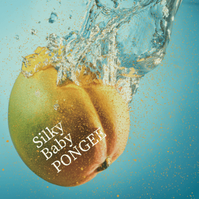 Silky Baby Front Cover