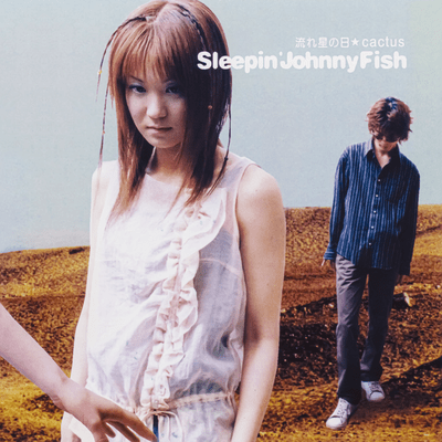 NAGAREBOSHINOHI Front Cover