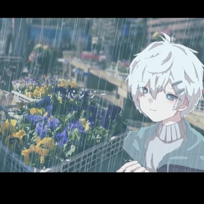 Apricotpansy Front Cover