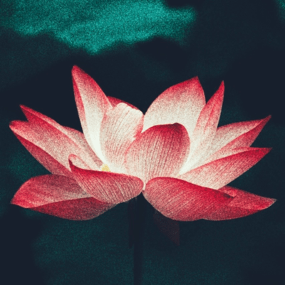 Soka Gakkai Front Cover