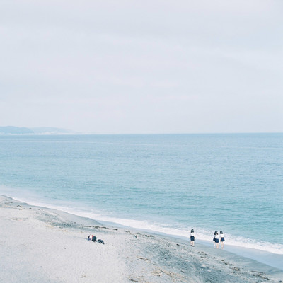 Scenesのジャケット写真