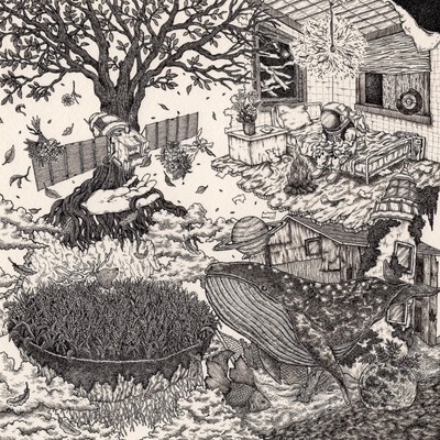 レンズのジャケット写真